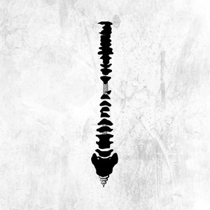 男男+纯肉+茎交
